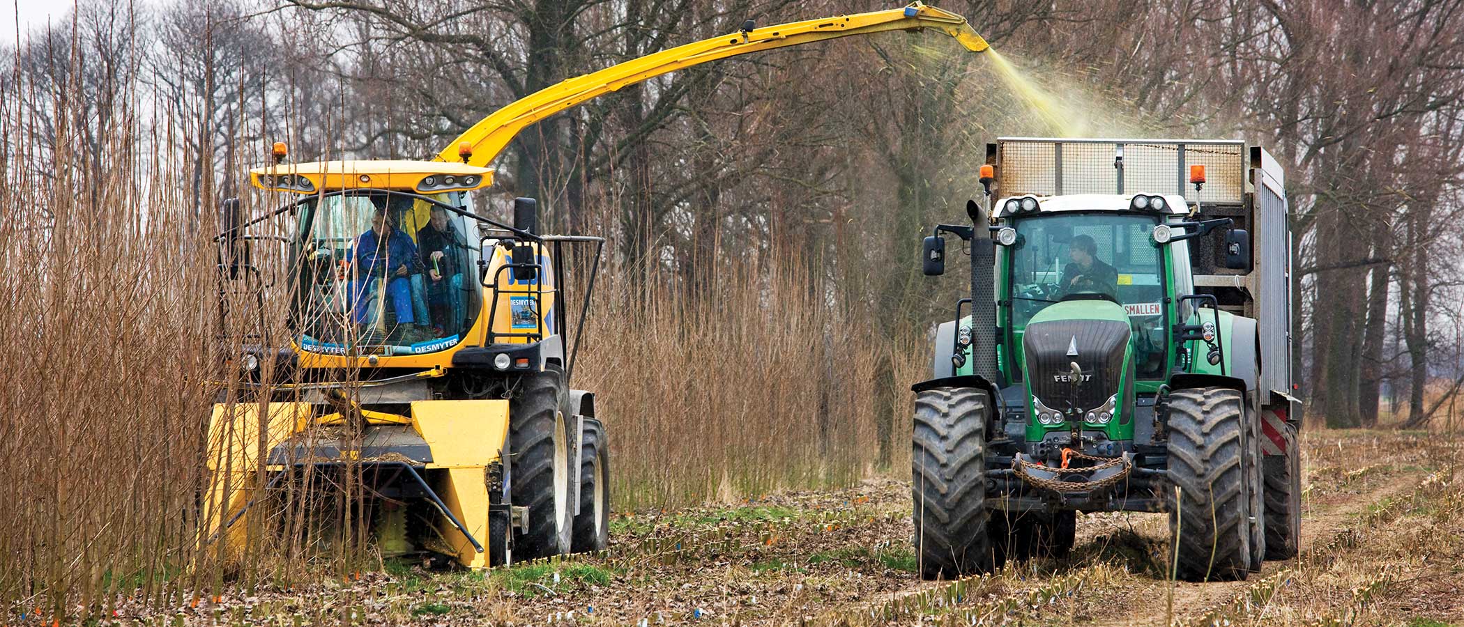 Tractor harvesting biomass in Germany.
