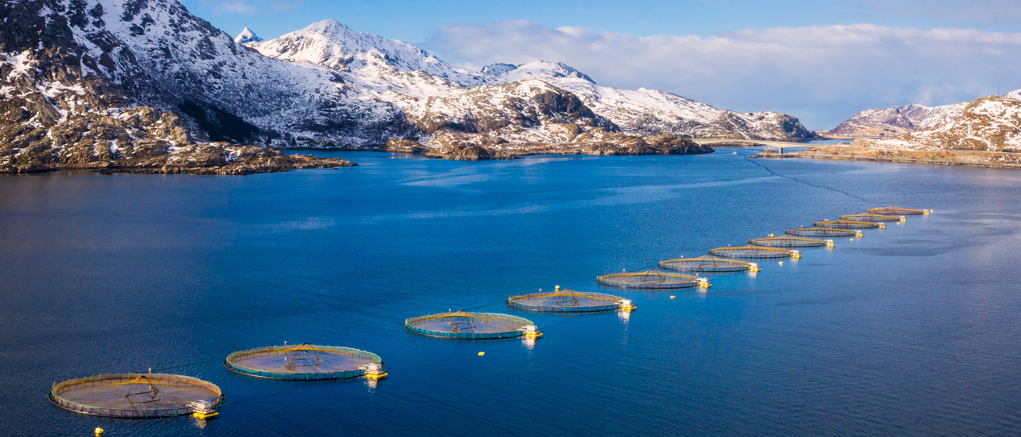Ocean farms in body of water