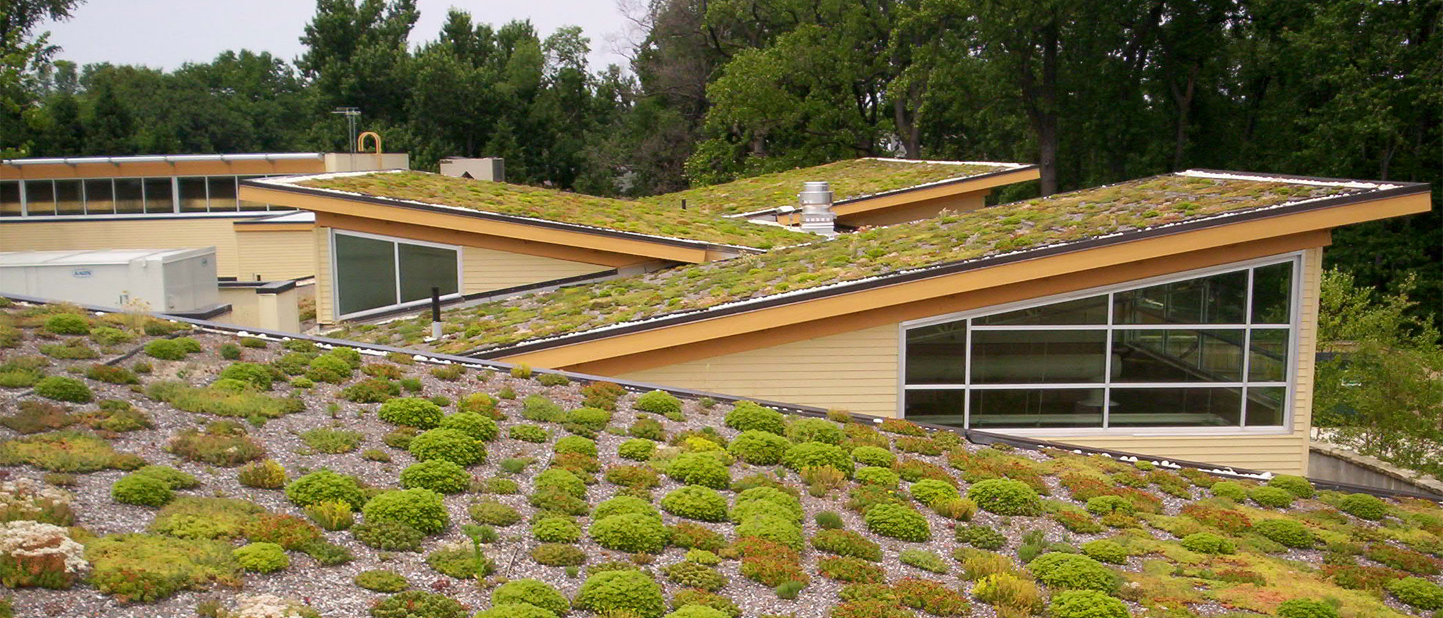 Green roof at Arlington's Walter Reed Community Center.