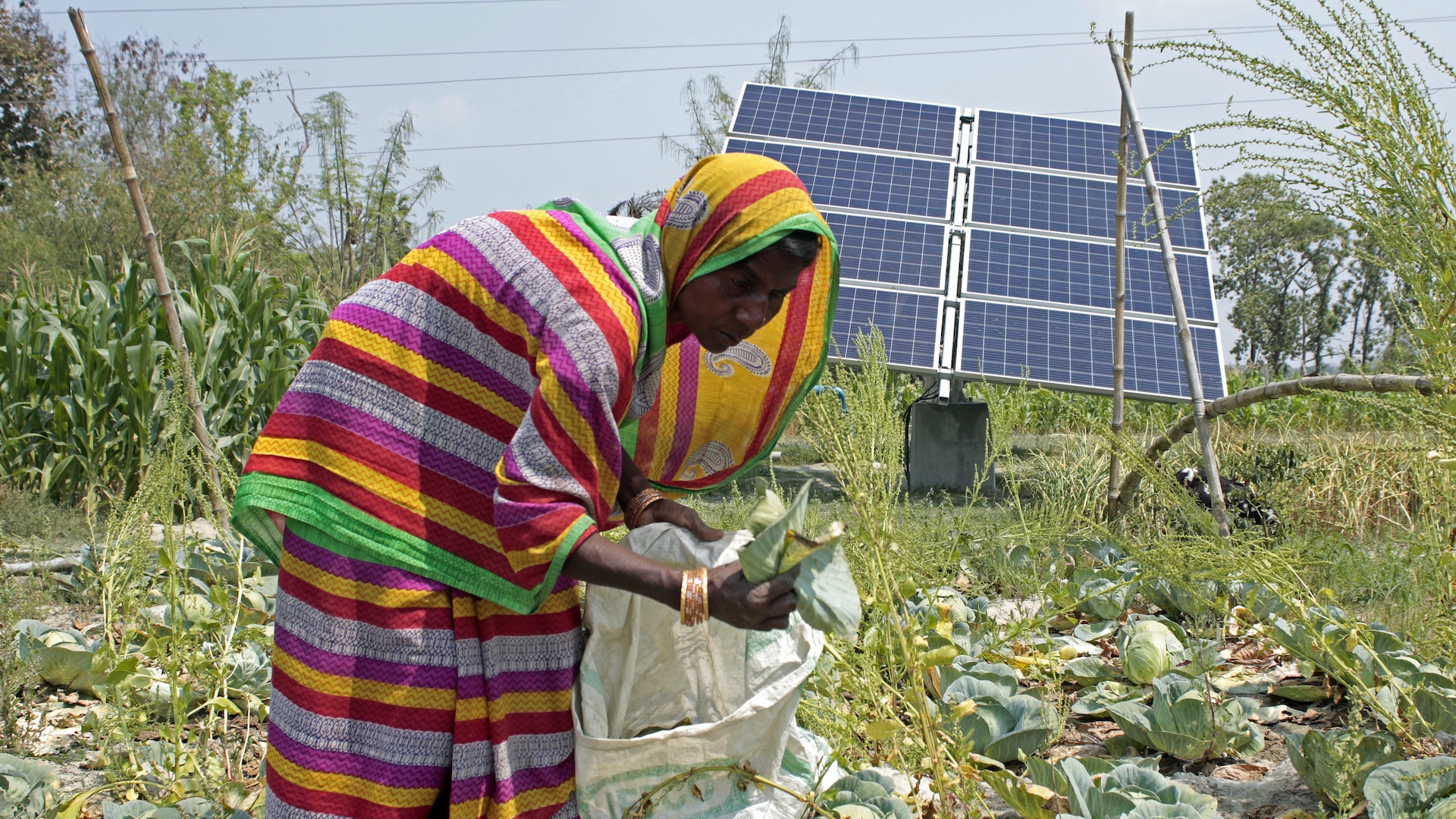 In addition to reducing carbon emissions, climate solutions like Conservation Agriculture, Nutrient Management, and Distributed Solar Photovoltaics can be combined to improve people’s food security, access to water and electricity, and income.