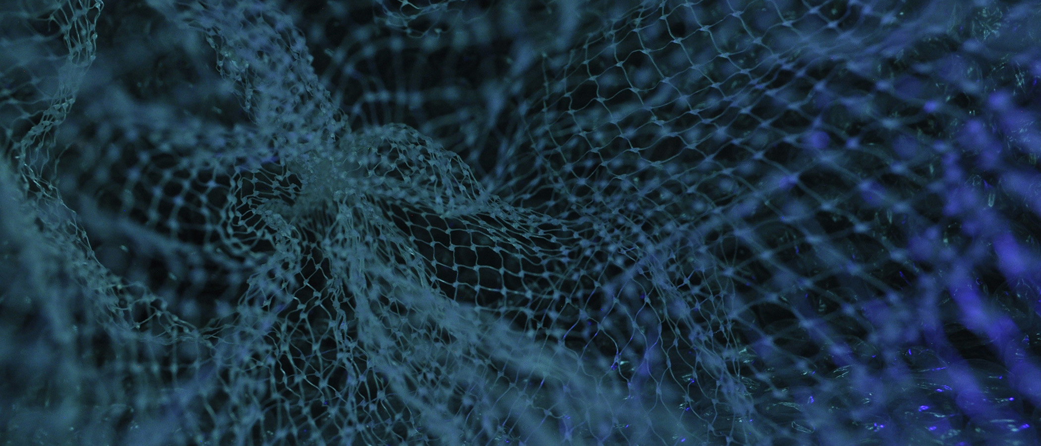 A web of connected points