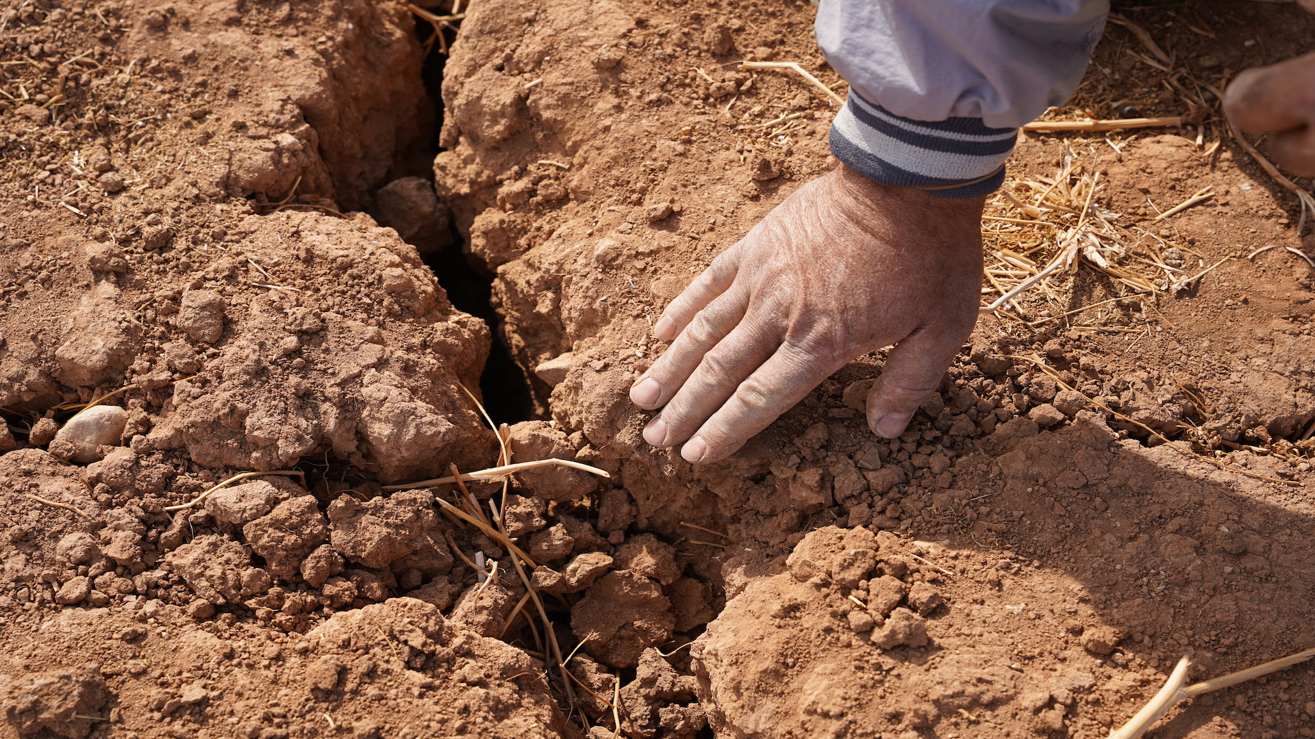 Hand touching bare, cracked soil