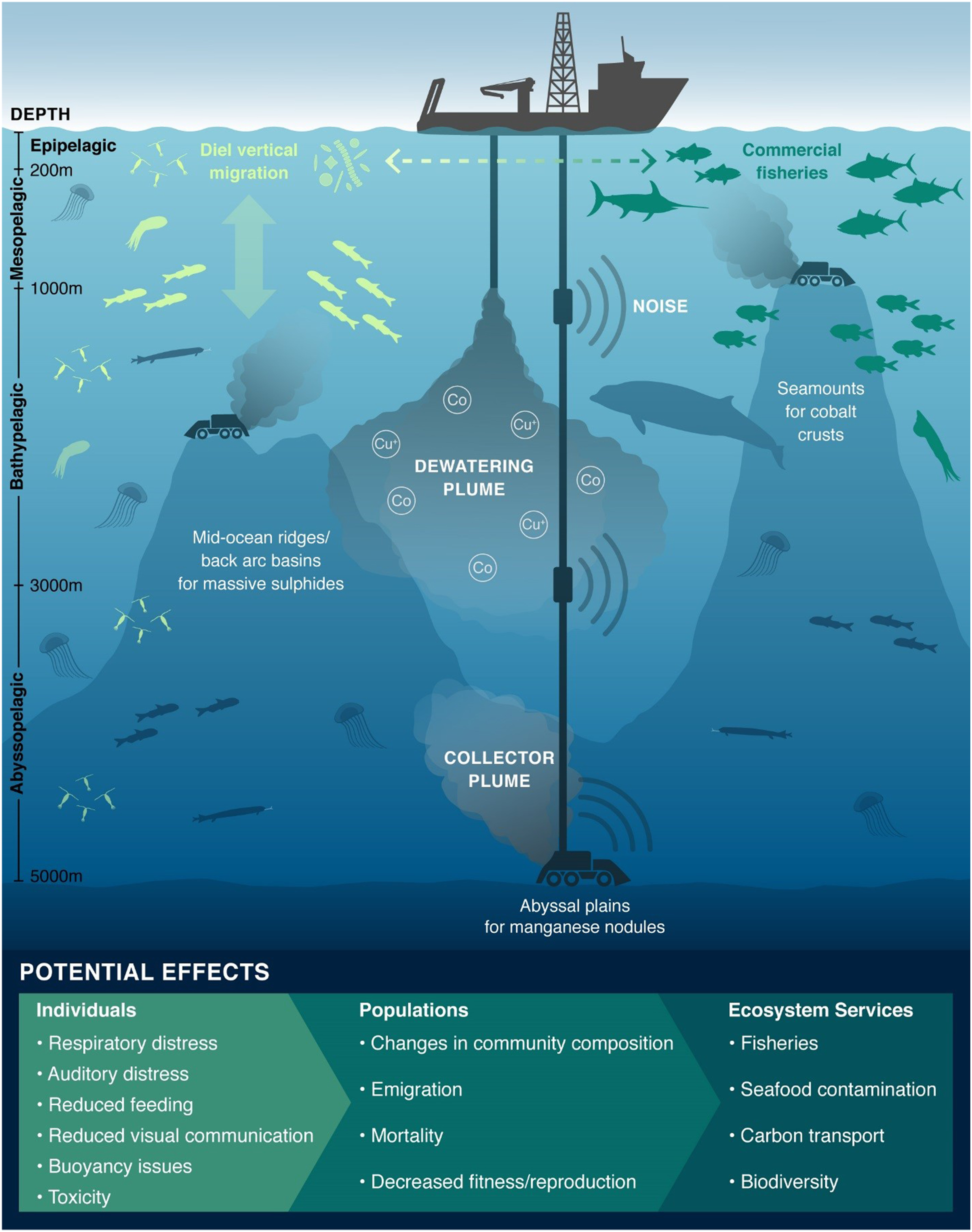 A graphic showing the environmental impacts of deep sea mining