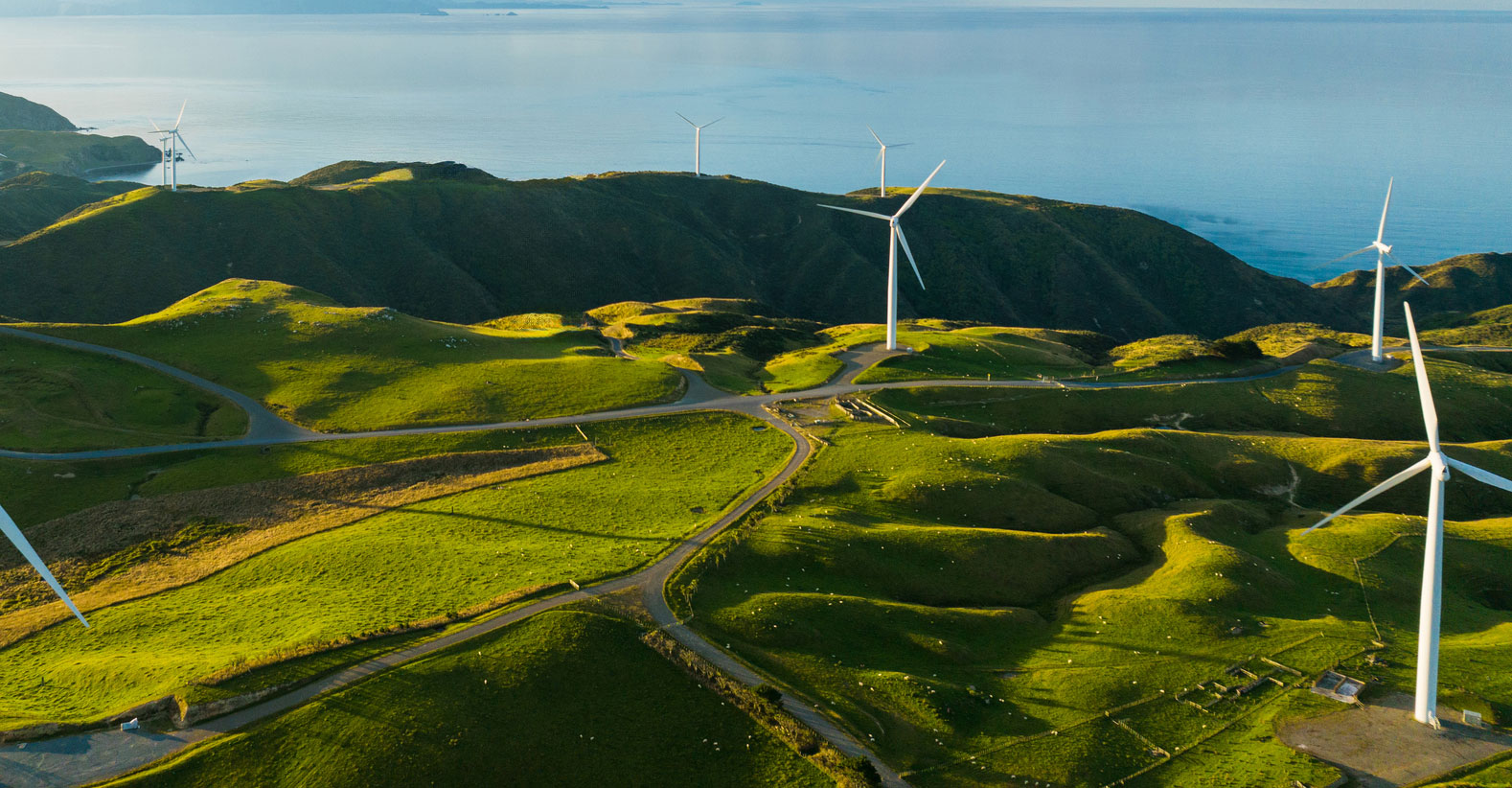 Rolling hills with wind turbines beside ocean
