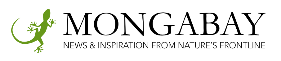 Mongabay logo
