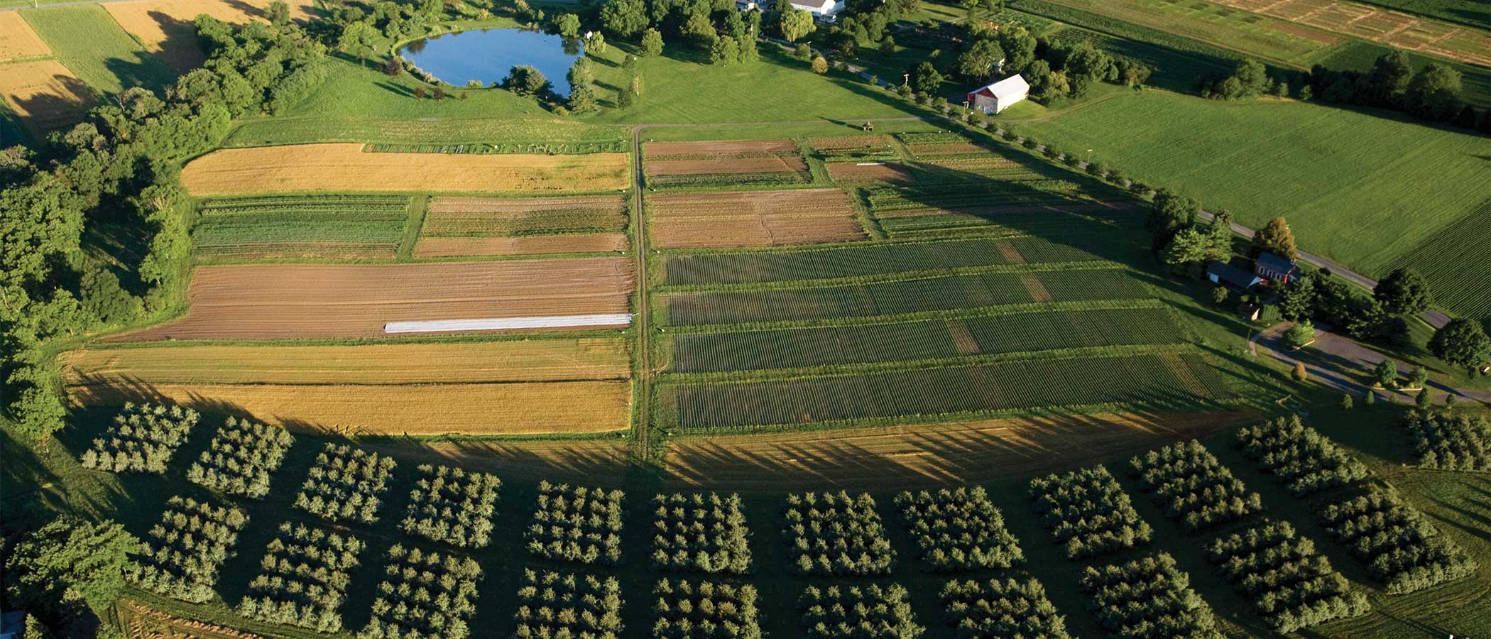 Aerial view of a farm practicing regenerative agriculture