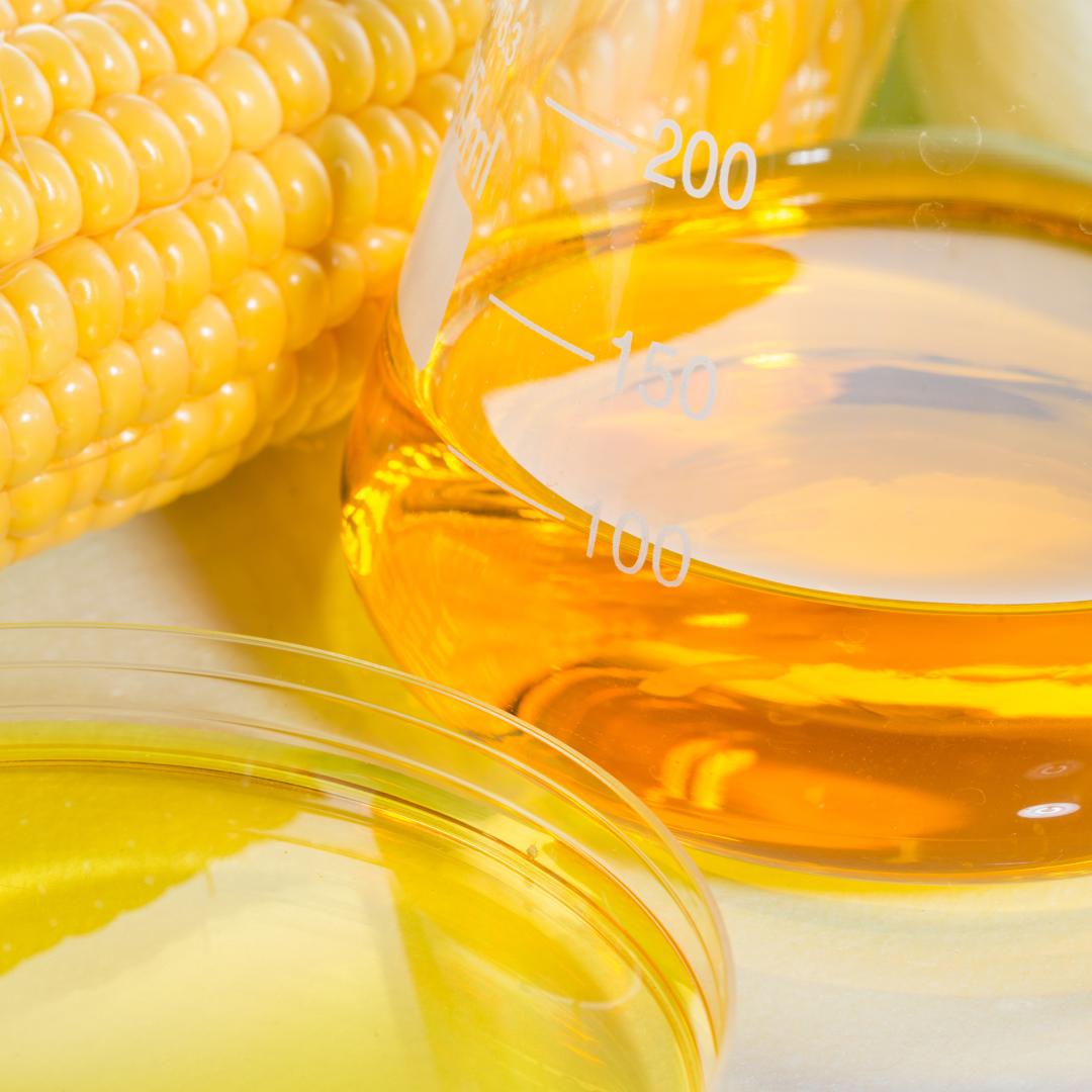 An image of corn next to a beaker filled with corn-based ethanol