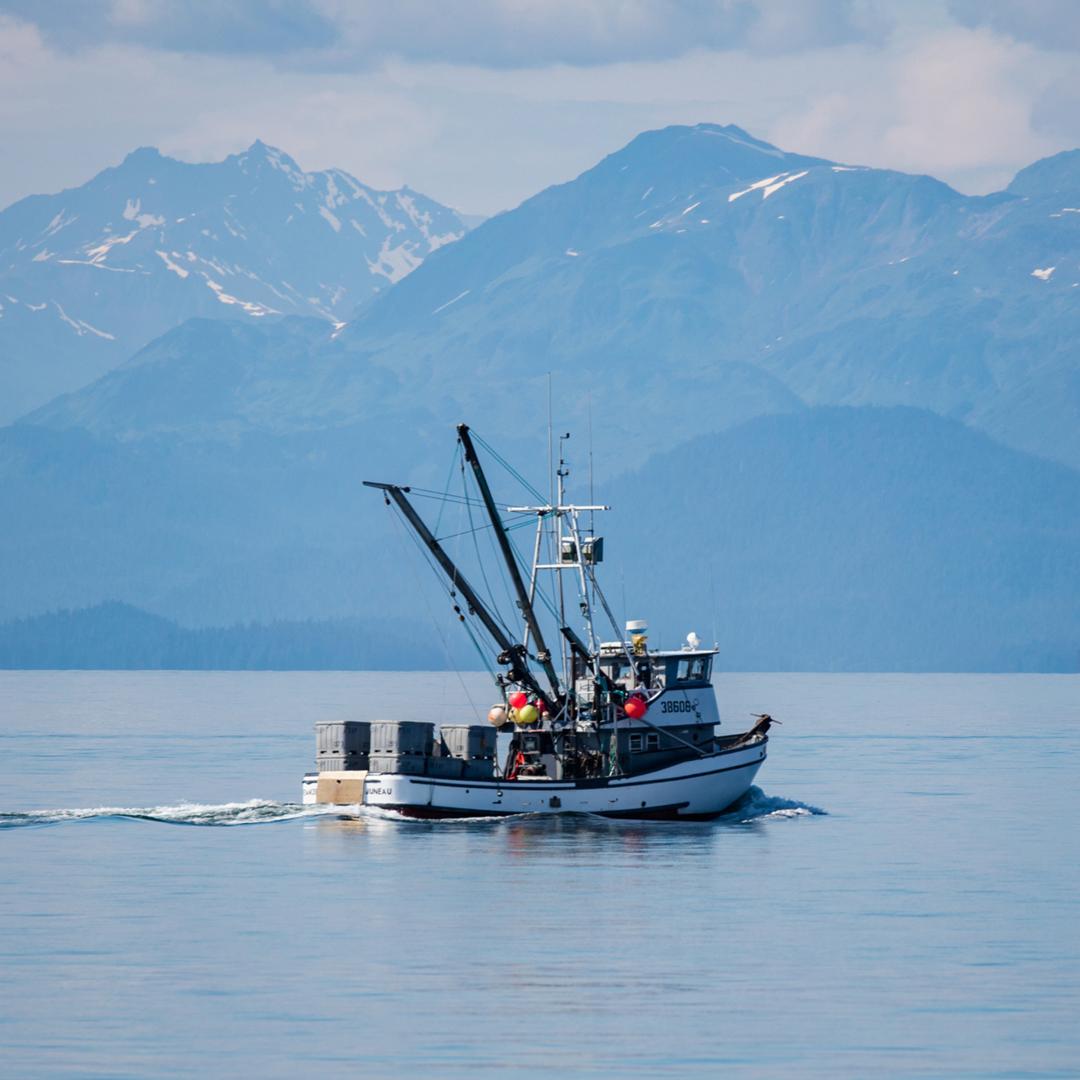 An image of a fishing boat at sea