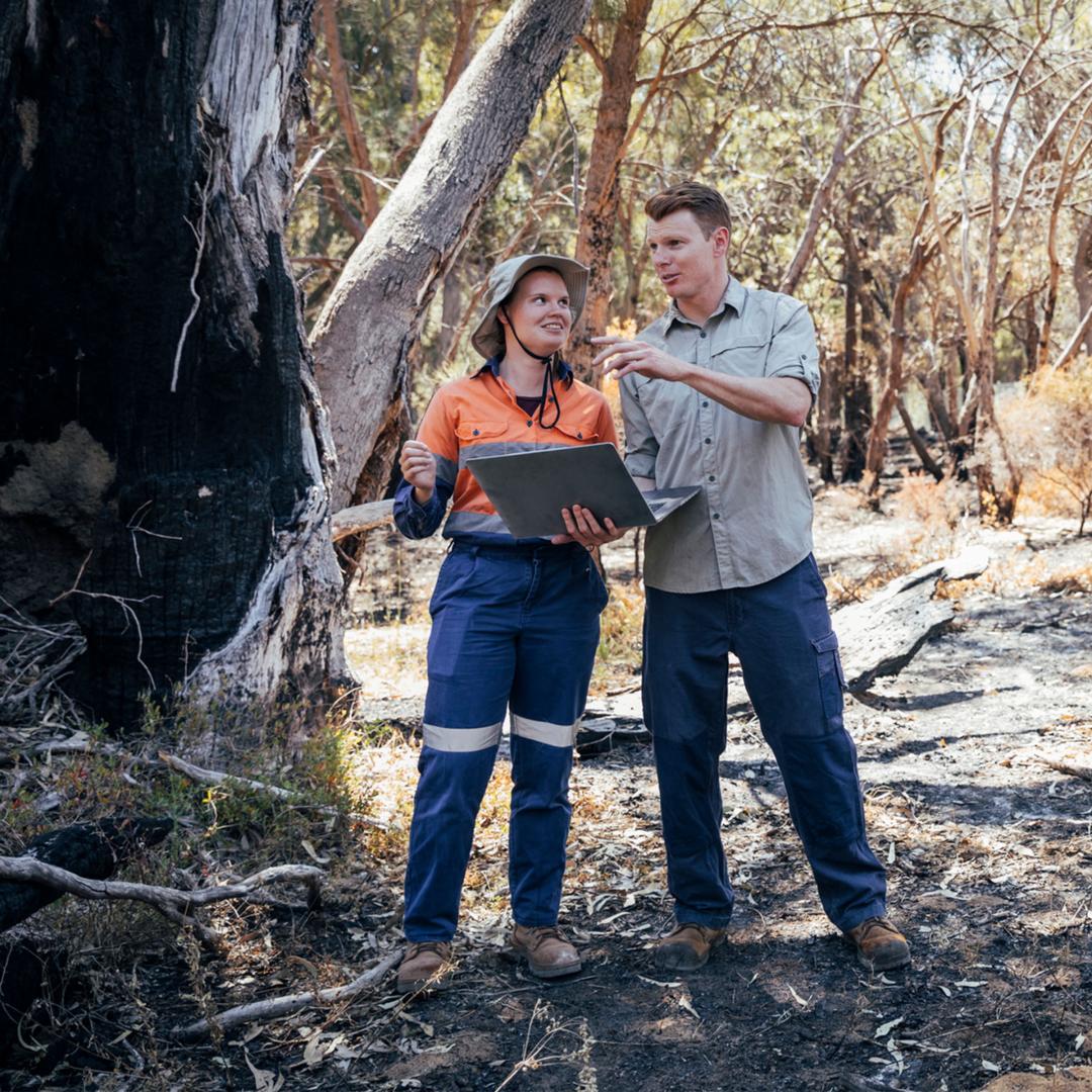 Foresters with laptop computer in forest