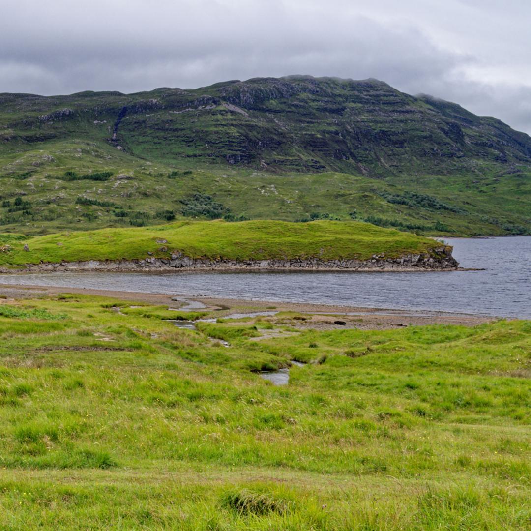 Boreal grassland
