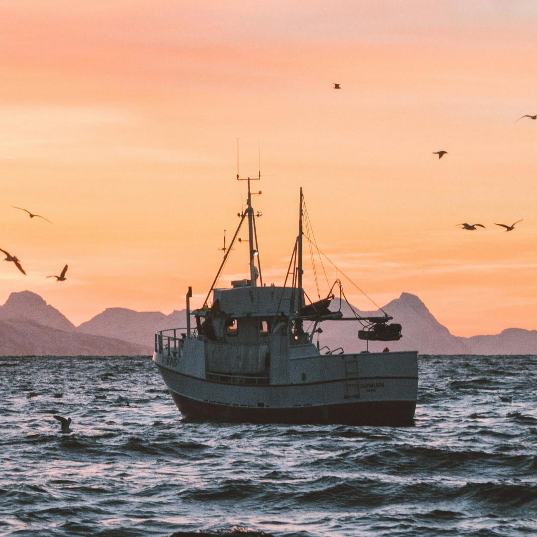 An image of a fishing boat at sunset