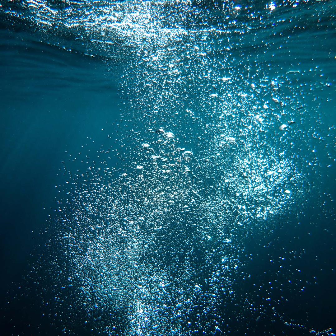 An image of bubbles rising in a water column