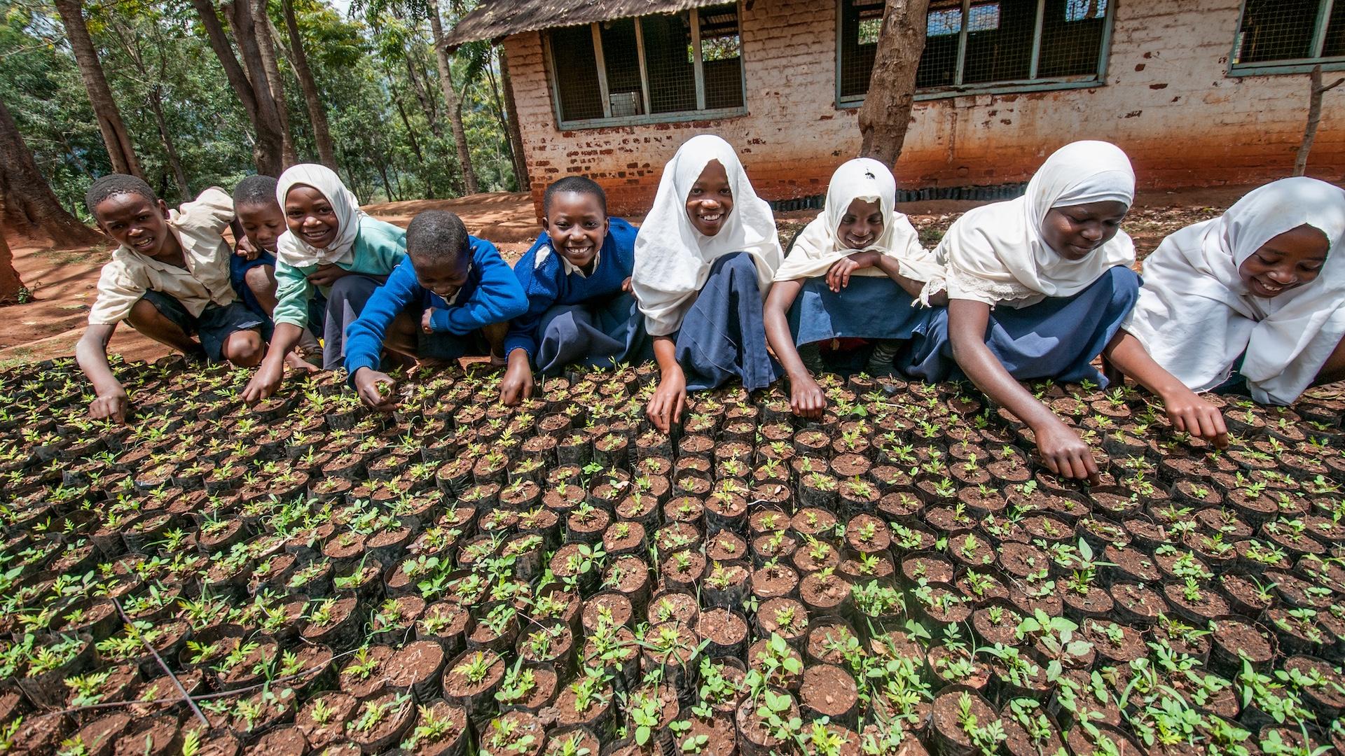 Girls planting seeds
