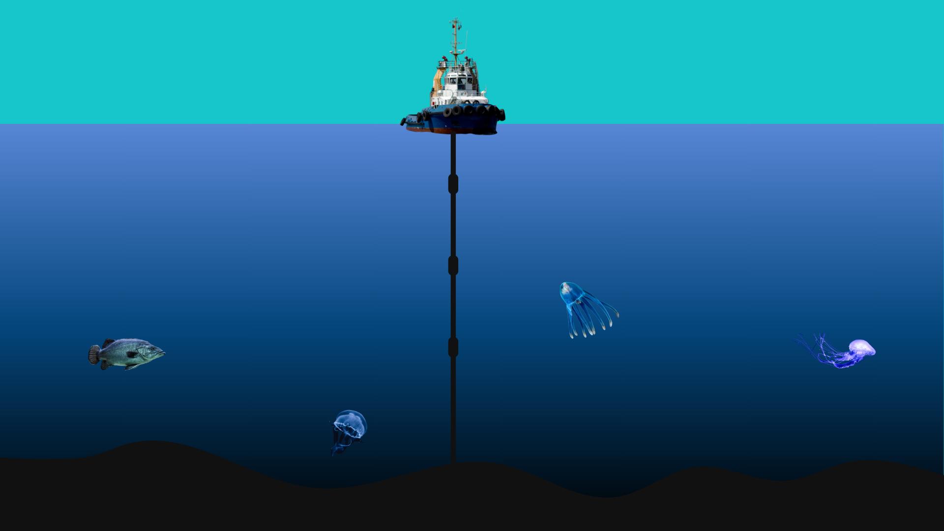 A graphic of a mining ship on the ocean surface with marine life swimming around in the depths beneath