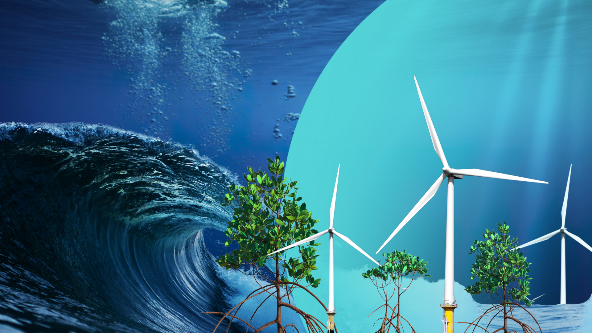 Composite image depicting ocean-based climate solutions