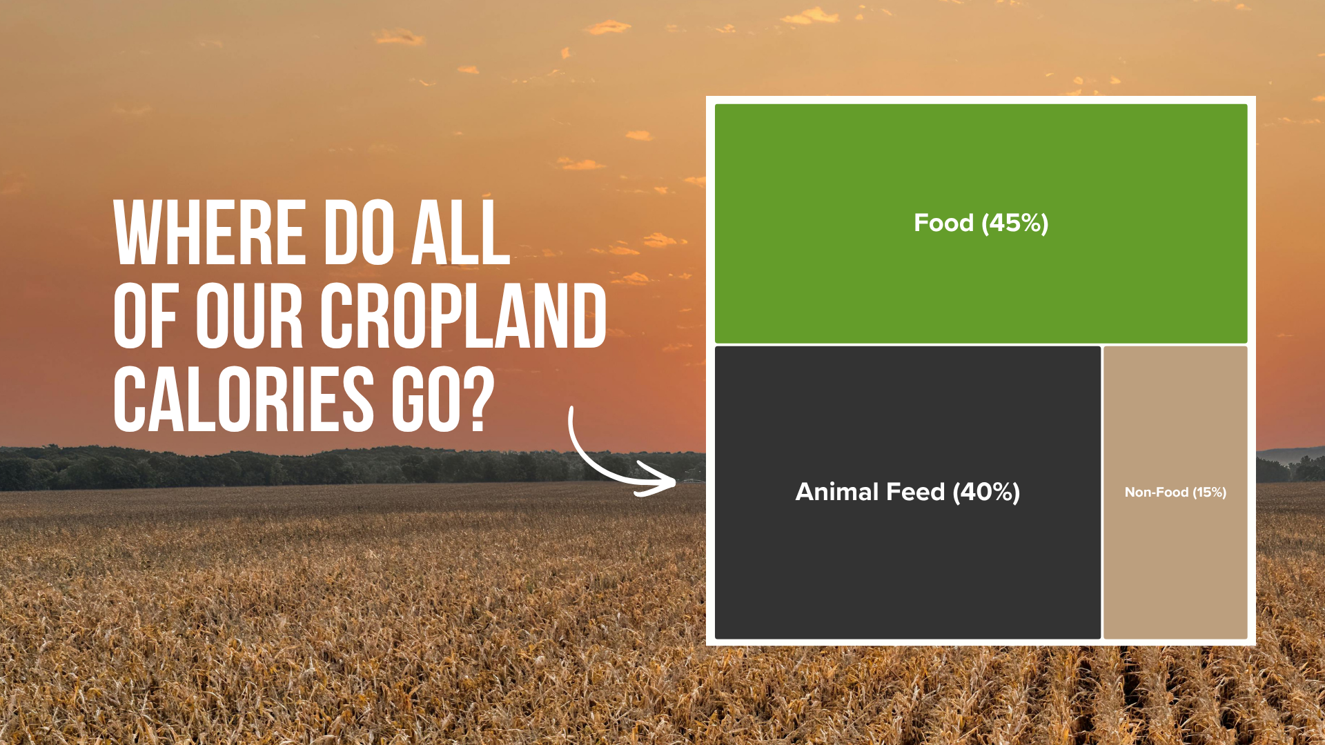 Graphic showing where cropland calories go