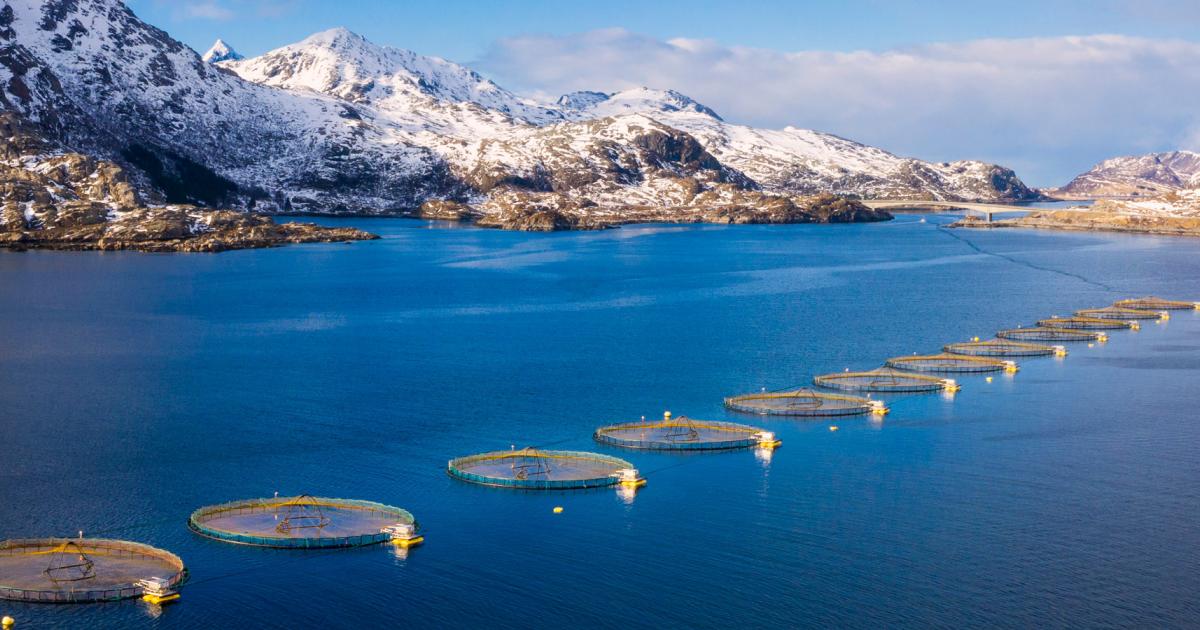 Improved Aquaculture | Project Drawdown